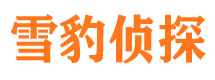 沈河市出轨取证